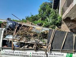 Best Basement Cleanout in Tuskegee, AL